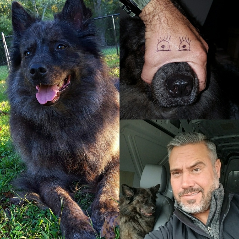 Meet your Posher, Lee Pupak " Bohemian "